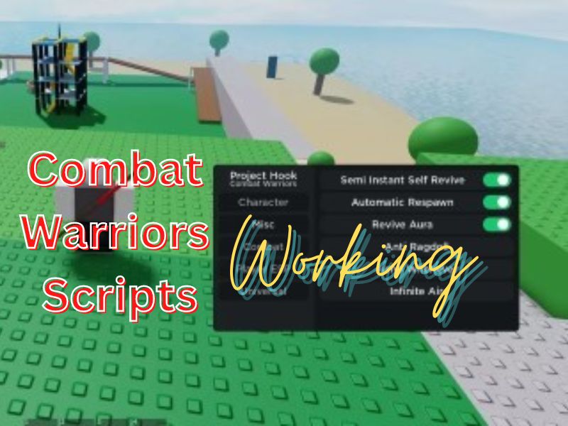 Combat Warriors Scripts for testing auto parry and more